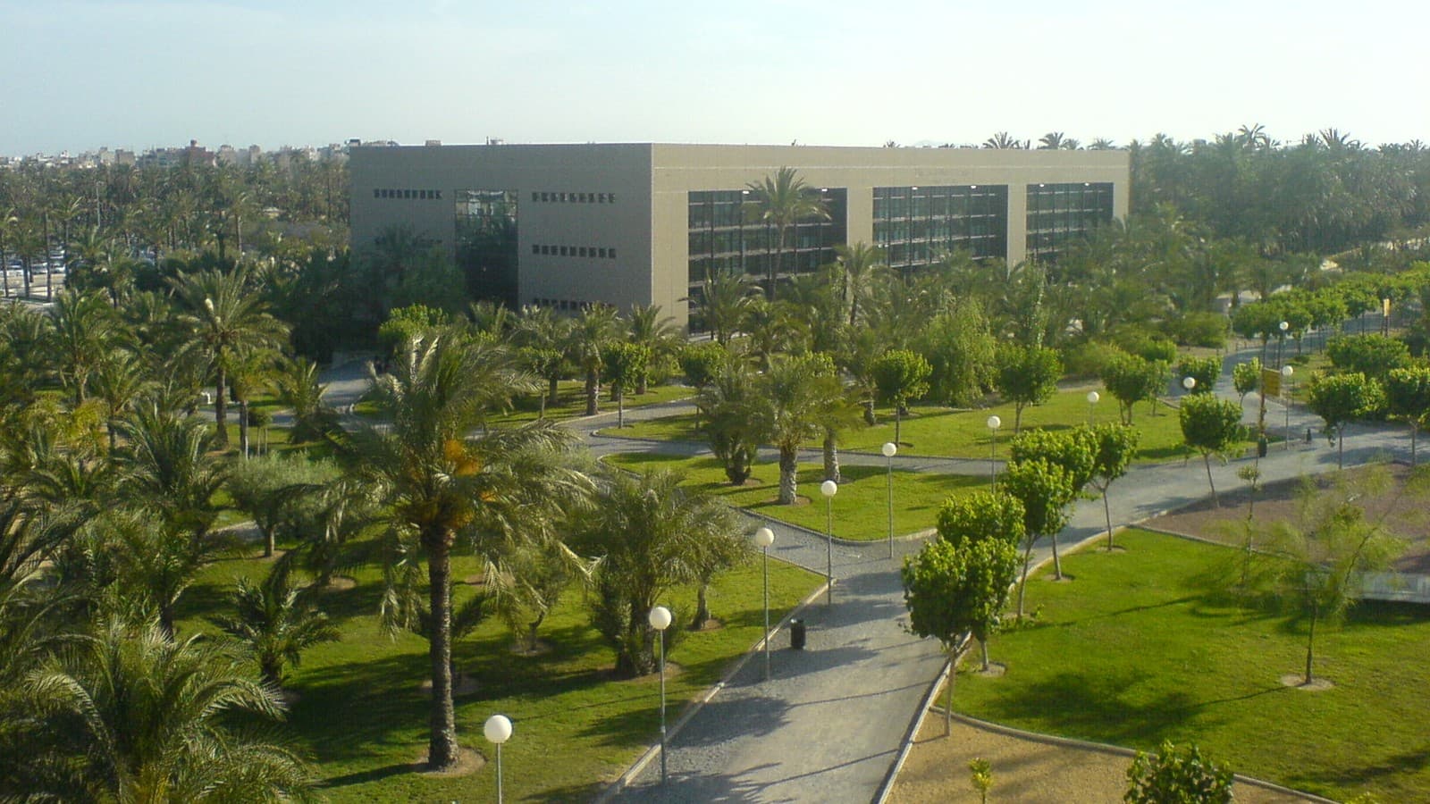 Campus de la Universidad Miguel Hernández en Elche, entre palmeras